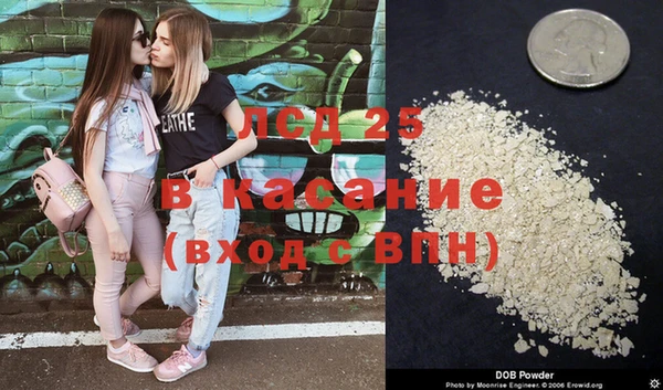 прущие крисы Алзамай