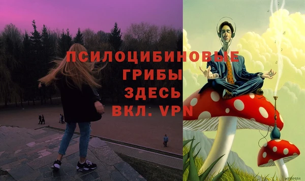 ALPHA-PVP Алексин