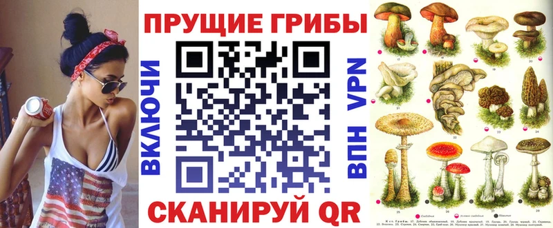 Псилоцибиновые грибы Cubensis  это как зайти  Задонск  даркнет сайт 